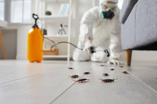 Trusted Termite Control service in Fairless Hills, PA - Nex Pest Control
